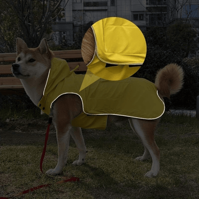 https://cdn.shopify.com/s/files/1/0489/2898/1148/files/Vest.png?v=1755754501