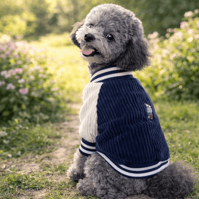 https://cdn.shopify.com/s/files/1/0763/9767/4819/files/Veste_Pour_Chien_bleu.png?v=1770811508