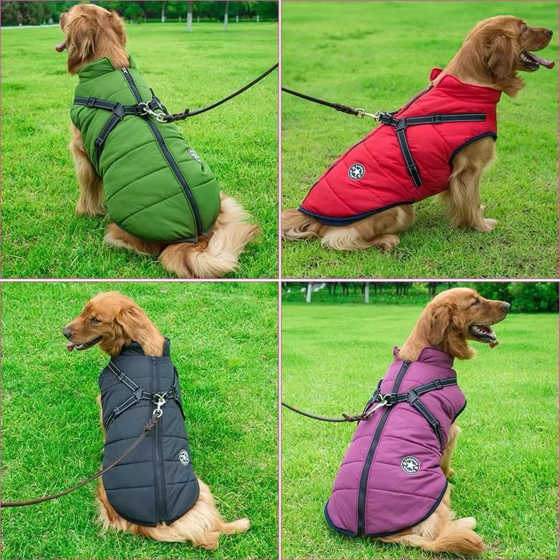 https://cdn.shopify.com/s/files/1/0489/2898/1148/files/WhatsApp_Image_2024-09-18_at_14.49.05.jpg?v=1745074984
