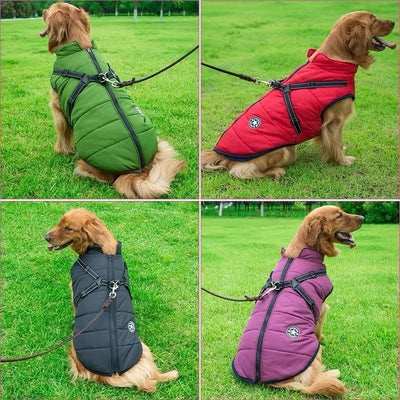 https://cdn.shopify.com/s/files/1/0489/2898/1148/files/WhatsApp_Image_2024-09-18_at_14.49.05.jpg?v=1745074984