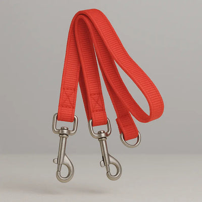 https://cdn.shopify.com/s/files/1/0923/9910/8483/files/abc.png?v=1747591459
