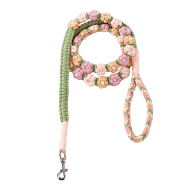 https://cdn.shopify.com/s/files/1/0489/2898/1148/files/af761f45a21946c4ba9d3135bafc2011-goods.jpg?v=1755581353
