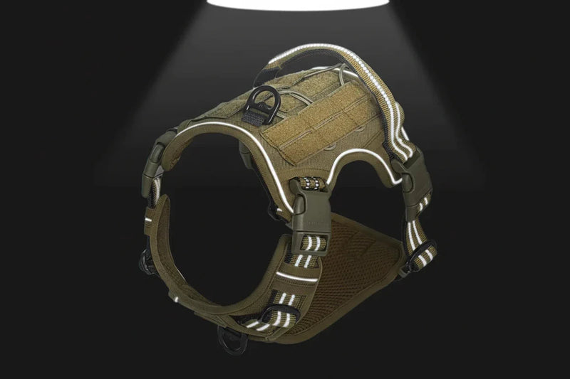https://cdn.shopify.com/s/files/1/0647/9170/7830/files/auroth-harnais-de-chien-anti-traction-1690490.webp?v=1777923493