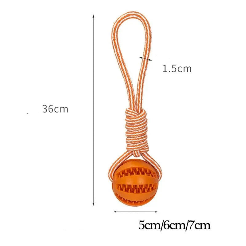 https://cdn.shopify.com/s/files/1/0647/9170/7830/files/balle-a-friandise-pour-chiot-3166901.webp?v=1777925474