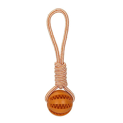 https://cdn.shopify.com/s/files/1/0647/9170/7830/files/balle-a-friandise-pour-chiot-2196623.webp?v=1777925475