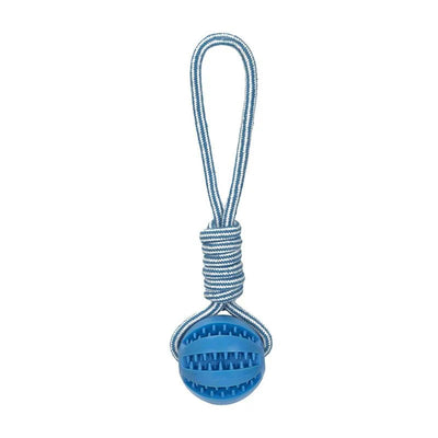 https://cdn.shopify.com/s/files/1/0647/9170/7830/files/balle-a-friandise-pour-chiot-2758763.webp?v=1777925475