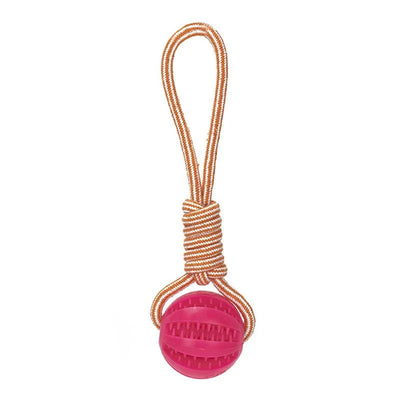 https://cdn.shopify.com/s/files/1/0647/9170/7830/files/balle-a-friandise-pour-chiot-3166901.webp?v=1777925474