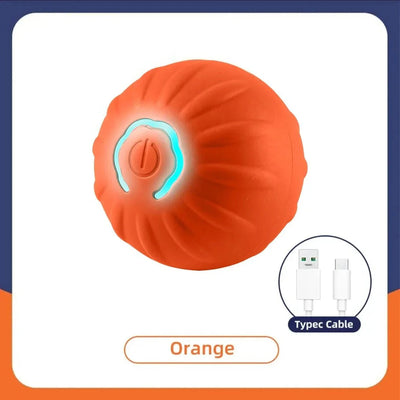 https://cdn.shopify.com/s/files/1/0647/9170/7830/files/balle-interactive-pour-chiot-8411691.webp?v=1777925646