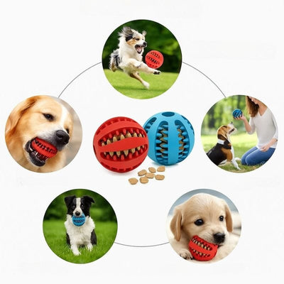 https://cdn.shopify.com/s/files/1/0489/2898/1148/files/balleinteractive.jpg?v=1754638490