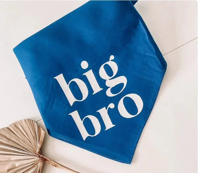 https://cdn.shopify.com/s/files/1/0647/9170/7830/files/bandana-big-bro-pour-chien-3217974.webp?v=1777924935
