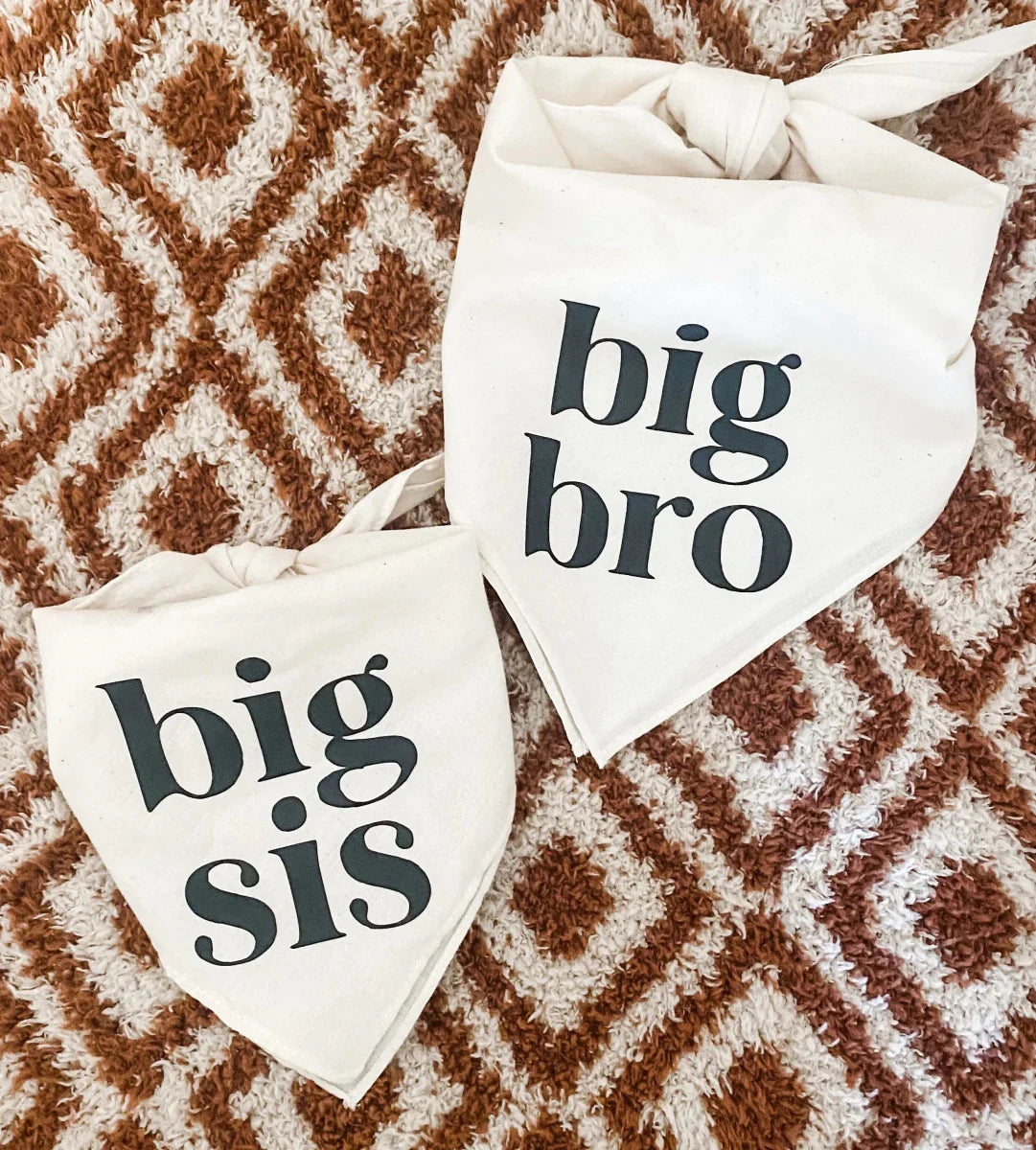 https://cdn.shopify.com/s/files/1/0647/9170/7830/files/bandana-big-bro-pour-chien-6146174.webp?v=1777924935