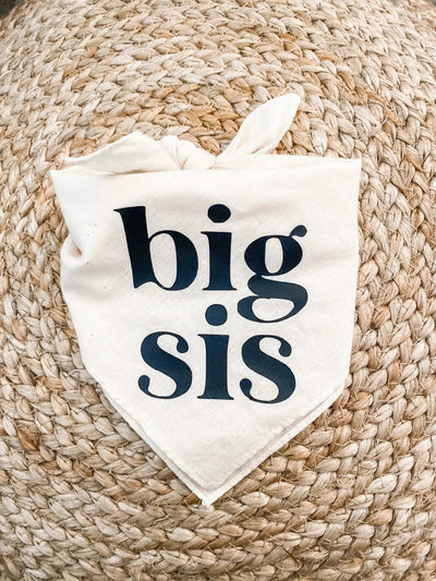 https://cdn.shopify.com/s/files/1/0647/9170/7830/files/bandana-big-bro-pour-chien-6155718.webp?v=1777924934