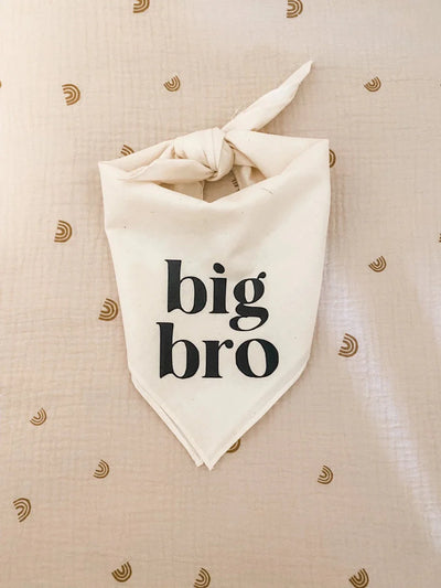 https://cdn.shopify.com/s/files/1/0647/9170/7830/files/bandana-big-bro-pour-chien-6965047.webp?v=1777924934