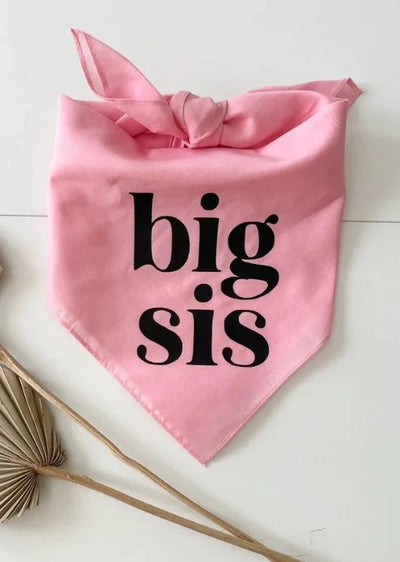 https://cdn.shopify.com/s/files/1/0647/9170/7830/files/bandana-big-bro-pour-chien-7316892.webp?v=1777924935