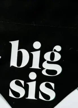 https://cdn.shopify.com/s/files/1/0647/9170/7830/files/bandana-big-bro-pour-chien-7455083.webp?v=1777924935