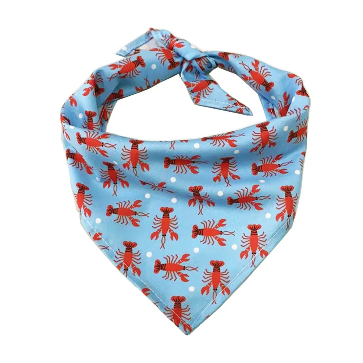 https://cdn.shopify.com/s/files/1/0647/9170/7830/files/bandana-colorer-pour-chien-3237115.webp?v=1777924993