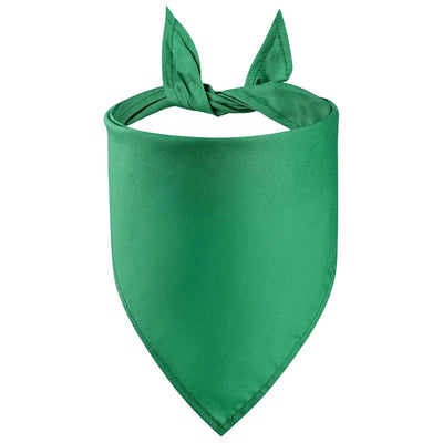 https://cdn.shopify.com/s/files/1/0647/9170/7830/files/bandana-de-couleur-unie-pour-chien-1109376.webp?v=1777924878