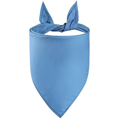https://cdn.shopify.com/s/files/1/0647/9170/7830/files/bandana-de-couleur-unie-pour-chien-1938984.webp?v=1777924879