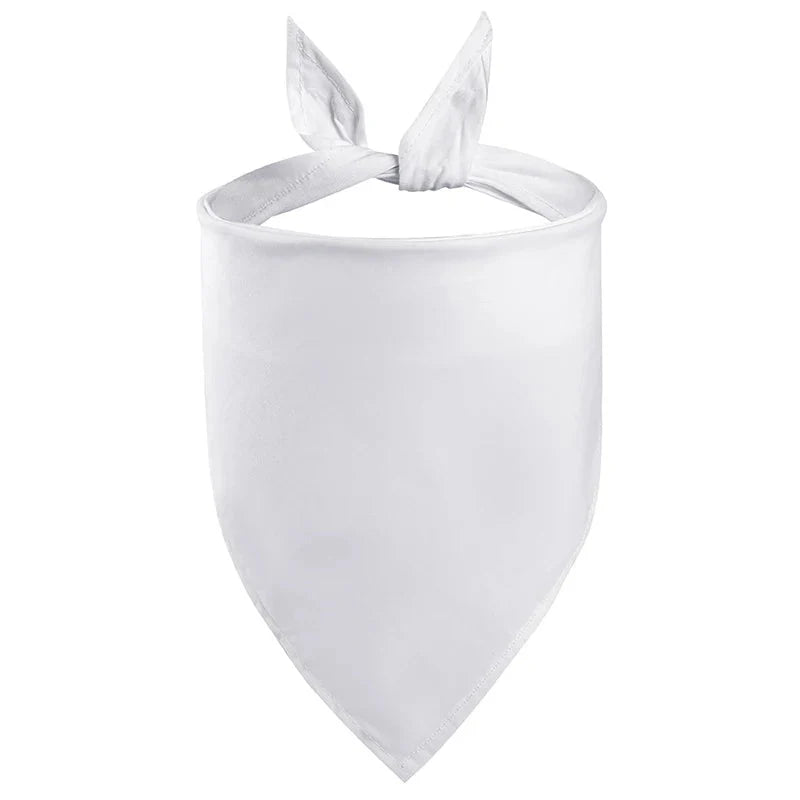 https://cdn.shopify.com/s/files/1/0647/9170/7830/files/bandana-de-couleur-unie-pour-chien-3044134.webp?v=1777924877