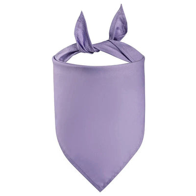 https://cdn.shopify.com/s/files/1/0647/9170/7830/files/bandana-de-couleur-unie-pour-chien-5028424.webp?v=1777924878