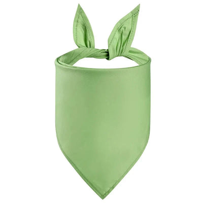 https://cdn.shopify.com/s/files/1/0647/9170/7830/files/bandana-de-couleur-unie-pour-chien-7331473.webp?v=1777924877