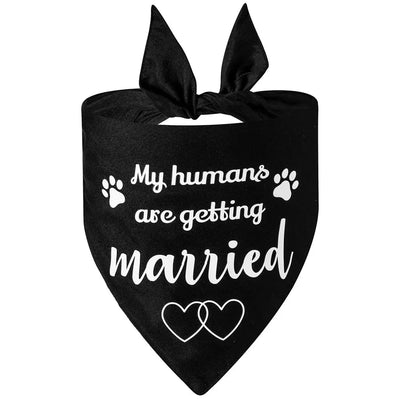https://cdn.shopify.com/s/files/1/0647/9170/7830/files/bandana-de-mariage-pour-chien-1492382.webp?v=1777924992