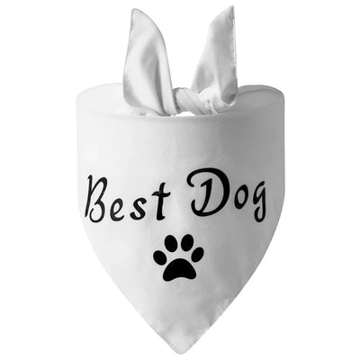 https://cdn.shopify.com/s/files/1/0647/9170/7830/files/bandana-de-mariage-pour-chien-1744167.webp?v=1777924880