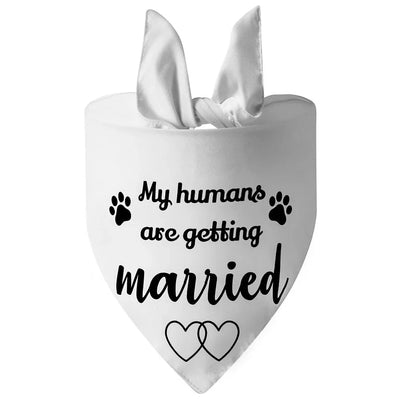 https://cdn.shopify.com/s/files/1/0647/9170/7830/files/bandana-de-mariage-pour-chien-2009161.webp?v=1777924993
