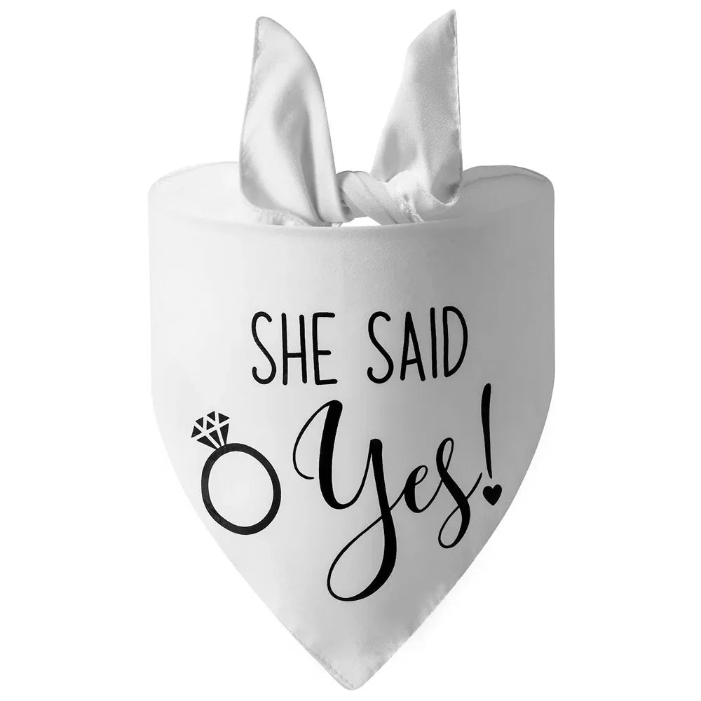 https://cdn.shopify.com/s/files/1/0647/9170/7830/files/bandana-de-mariage-pour-chien-2065731.webp?v=1777924993