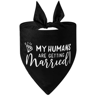 https://cdn.shopify.com/s/files/1/0647/9170/7830/files/bandana-de-mariage-pour-chien-2834060.webp?v=1777924878