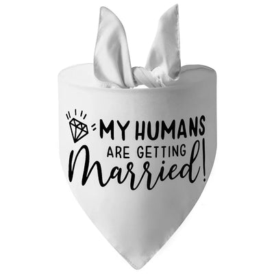 https://cdn.shopify.com/s/files/1/0647/9170/7830/files/bandana-de-mariage-pour-chien-3654972.webp?v=1777924878