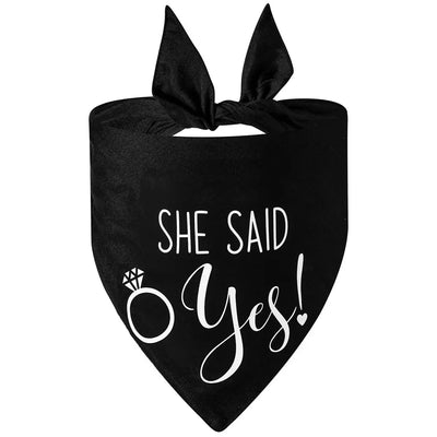 https://cdn.shopify.com/s/files/1/0647/9170/7830/files/bandana-de-mariage-pour-chien-4146591.webp?v=1777924992