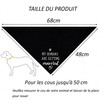 https://cdn.shopify.com/s/files/1/0647/9170/7830/files/bandana-de-mariage-pour-chien-4748680.png?v=1777924879