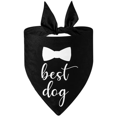 https://cdn.shopify.com/s/files/1/0647/9170/7830/files/bandana-de-mariage-pour-chien-6492016.webp?v=1777924879