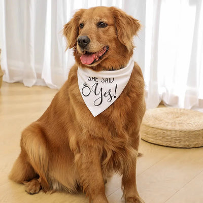 https://cdn.shopify.com/s/files/1/0647/9170/7830/files/bandana-de-mariage-pour-chien-9730521.webp?v=1777924879