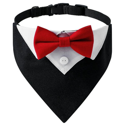 https://cdn.shopify.com/s/files/1/0647/9170/7830/files/bandana-elegant-pour-chien-4970962.webp?v=1777925172