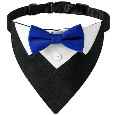 https://cdn.shopify.com/s/files/1/0647/9170/7830/files/bandana-elegant-pour-chien-6476439.webp?v=1777925172