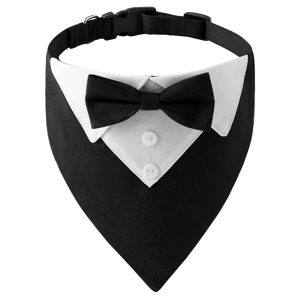https://cdn.shopify.com/s/files/1/0647/9170/7830/files/bandana-elegant-pour-chien-8350439.webp?v=1777925172