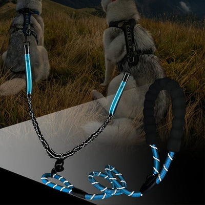 https://cdn.shopify.com/s/files/1/0489/2898/1148/files/beaa7ccb-36b4-4376-b930-635ded746418.jpg?v=1755581129