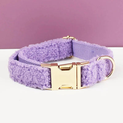 https://cdn.shopify.com/s/files/1/0647/9170/7830/files/beau-collier-chien-2491910.webp?v=1777923434