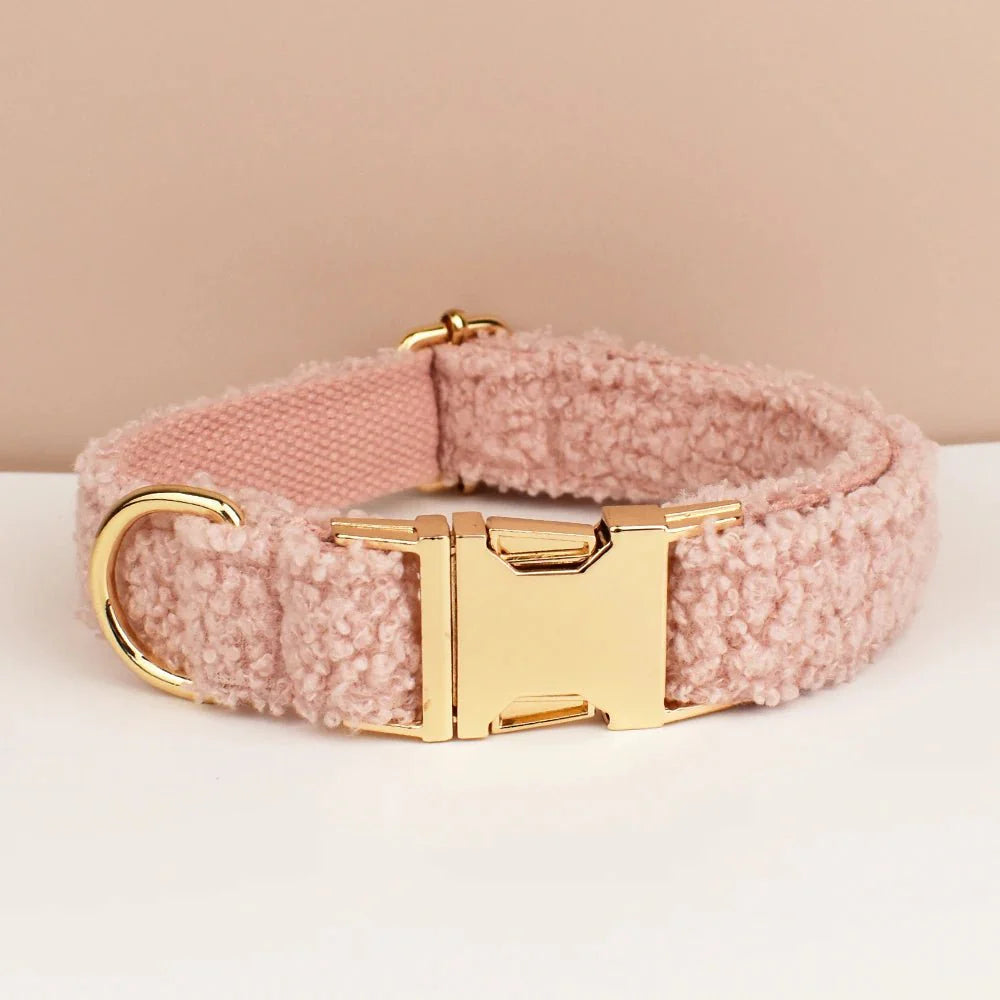 https://cdn.shopify.com/s/files/1/0647/9170/7830/files/beau-collier-chien-7185778.webp?v=1777923615