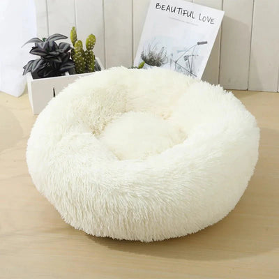https://cdn.shopify.com/s/files/1/0647/9170/7830/files/beau-panier-pour-chien-6209087.webp?v=1777924032