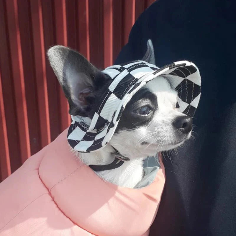 https://cdn.shopify.com/s/files/1/0647/9170/7830/files/bob-pour-chiens-9955859.webp?v=1777925115