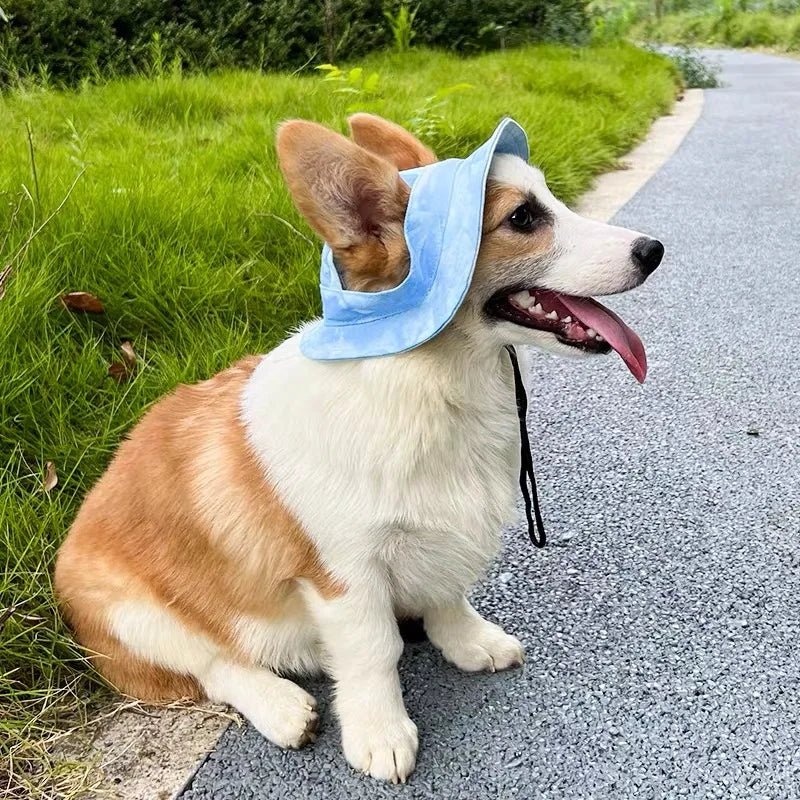 https://cdn.shopify.com/s/files/1/0647/9170/7830/files/bob-pour-petit-chien-4172878.webp?v=1777925472