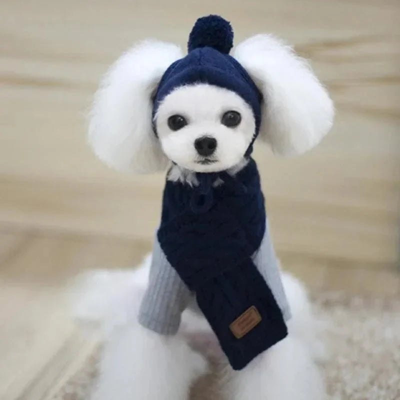 https://cdn.shopify.com/s/files/1/0647/9170/7830/files/bonnet-avec-echarpe-pour-chien-2737068.webp?v=1777925353