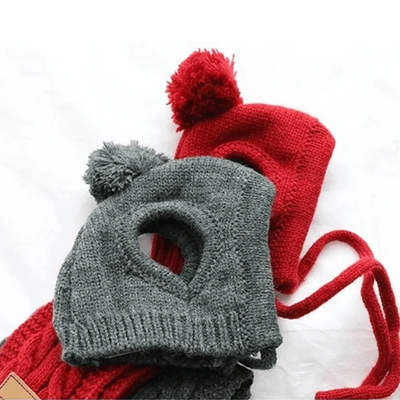https://cdn.shopify.com/s/files/1/0647/9170/7830/files/bonnet-avec-echarpe-pour-chien-2737068.webp?v=1777925353