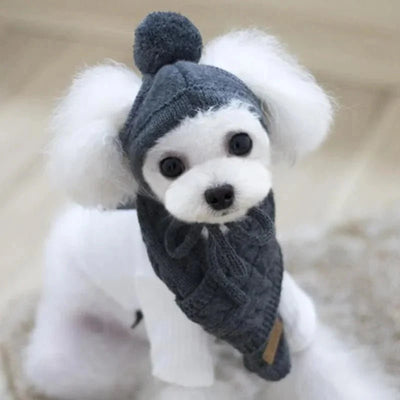 https://cdn.shopify.com/s/files/1/0647/9170/7830/files/bonnet-avec-echarpe-pour-chien-3413654.webp?v=1777925353