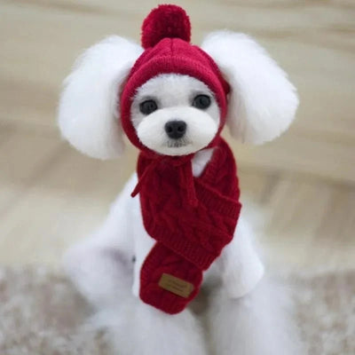 https://cdn.shopify.com/s/files/1/0647/9170/7830/files/bonnet-avec-echarpe-pour-chien-5509733.webp?v=1777925353