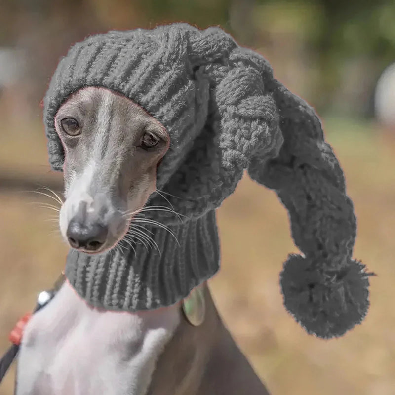 https://cdn.shopify.com/s/files/1/0647/9170/7830/files/bonnet-cagoule-pour-chien-6935831.webp?v=1777925648