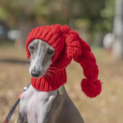 https://cdn.shopify.com/s/files/1/0647/9170/7830/files/bonnet-cagoule-pour-chien-9219942.webp?v=1777925649